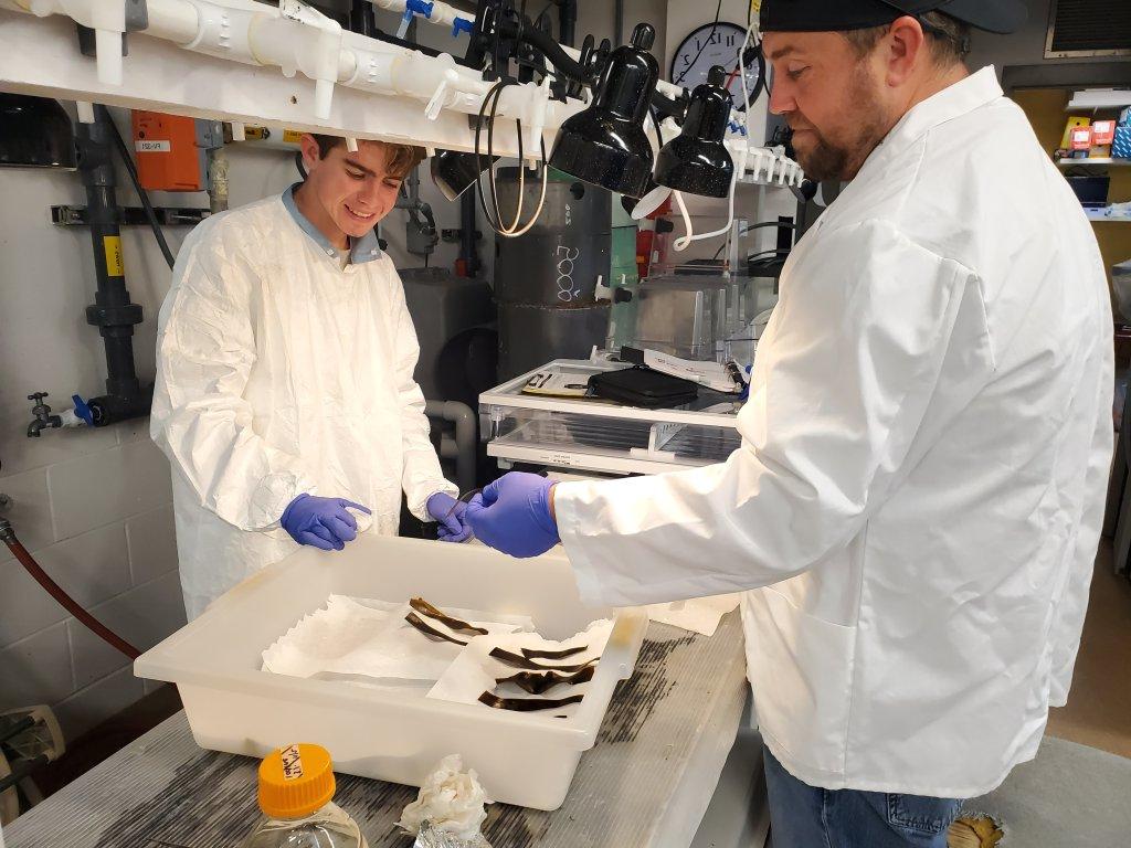 Students working in hatchery